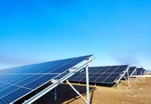 Στην Ευρωβουλή το υπό κατασκευή φωτοβολταϊκό πάρκο σε Natura στην Φωκίδα