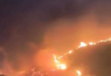 1,3 εκατ. ευρώ για την αποκατάσταση των καμένων εκτάσεων της Χίου