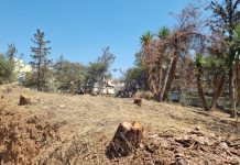 Δεν είπε λέξη ο Μαραγκάκης στον Χαρδαλιά για την άμεση ανάγκη διάσωσης του Αγ. Φίλιππα