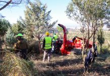 Πολυμέτωπες δράσεις στο δήμο Νεάπολης-Συκεών για την προστασία του δάσους και του περιβάλλοντος