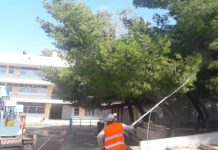 Ψεκασμοί στα πεύκα του Ηρακλείου Αττικήςγια την καταπολέμηση της κάμπιας