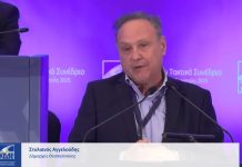 Μητροπολιτική Διοίκηση σε Αθήνα και Θεσσαλονίκη, ζητά ο Αγγελούδης