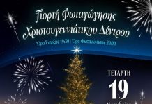 Φωταγωγείται στα Τρίκαλα το υψηλότερο χριστουγεννιάτικο φυσικό δένδρο στη χώρα