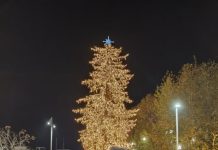 Με φαντασμαγορική γιορτή φωταγωγήθηκε το ψηλότερο φυσικό χριστουγεννιάτικο δέντρο στην Ελλάδα!
