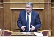 Συνεχίζεται η ολοκλήρωση των ημιτελών δασικών έργων στην Πέλλα – 6 νέα οχήματα στα Δασαρχεία της