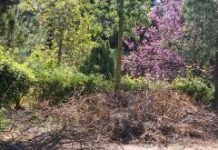 Η « αντιπυρική προετοιμασία» του Δήμου Νίκαιας