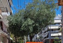 Ξεκινά ο Δήμος Νίκαιας να ανακυκλώνει τηγανέλαια