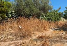 Έχει αφήσει ακαθάριστο τον Υμηττό ο ΣΠΑΥ – Προειδοποιεί ο Κωνσταντάτος για το μεγάλο κίνδυνο πυρκαγιών