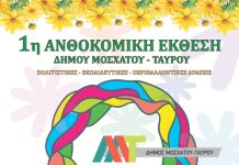 Ένα πολύχρωμο ταξίδι στη φύση, τον πολιτισμό και τη δημιουργία στο Δήμο Μοσχάτου-Ταύρου