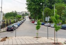 Φυτεύτηκαν ακόμη 180 δέντρα από το δήμο Νεάπολης-Συκεών