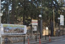 Αφού επί 2,5 χρόνια απλώς έβλεπε να καταστρέφεται…τώρα μετά την πάνδημη κατακραυγή ο Μαραγκάκης …αποφασίζει να διεκδικήσει χρηματοδότηση για το άλσος του Αγ. Φίλιππα.
