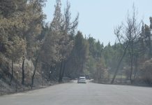 4 εκατ. ευρώ για έργα αποκατάστασης από τις φωτιές, στη Κασσάνδρα