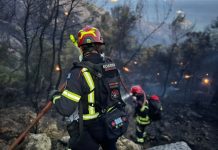 Ο Δήμος Ελληνικού και οι εθελοντές του δίπλα στο νησί της Σαλαμίνας που δοκιμάστηκε από τη μεγάλη φωτιά