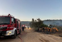 Τι έπραξε στις μεγάλες πυρκαγιές η Περιφέρεια Στερεάς Ελλάδας