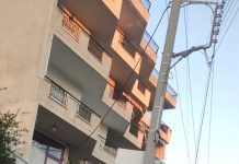 Συνεχείς ψεκασμοί στην Πετρούπολη για τον περιορισμό του κινδύνου μετάδοσης του ιού Δυτικού Νείλου