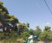 Γιατί ο Δήμος Σαλαμίνας δεν έπραξε το πιο απλό για την περισυλλογή των απορριμμάτων το καλοκαίρι; Η ΠΕΔΑ αρνήθηκε ή δεν ρωτήθηκε;