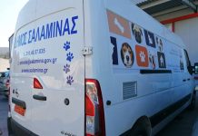 Συνδράμει για τη σωτηρία των ζώων από τις φωτιές ο Δήμος Σαλαμίνας