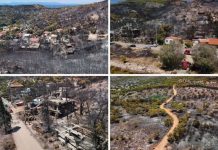 Υπάρχουν ευθύνες και …υπεύθυνοι για την τραγωδία και καταστροφή στη Σαλαμίνα
