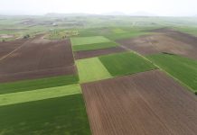 Μοναδική πλεονασματική Περιφέρεια σ΄όλη την Ευρώπη η Θεσσαλία με 2,3 δις ευρώ εξαγωγές