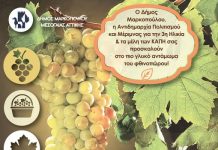 Γιορτή Μούστου και Μουσταλευριάς στον Μαρκόπουλο