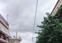 Μ. Γιάγκας* : Η Διοίκηση Μίχου αντιμετωπίζει το αστικό πράσινο ως εμπόδιο και όχι ως πολύτιμο δημόσιο αγαθό