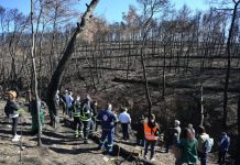 Η μεγάλη πυρκαγιά στη Δυτική Αττική: Διδάγματα, προκλήσεις και επόμενα βήματα